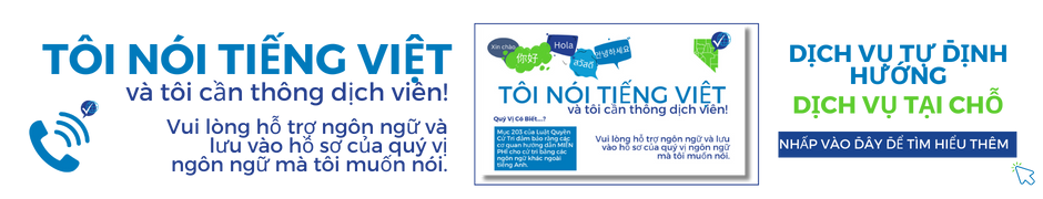 Header_VIE_Transp